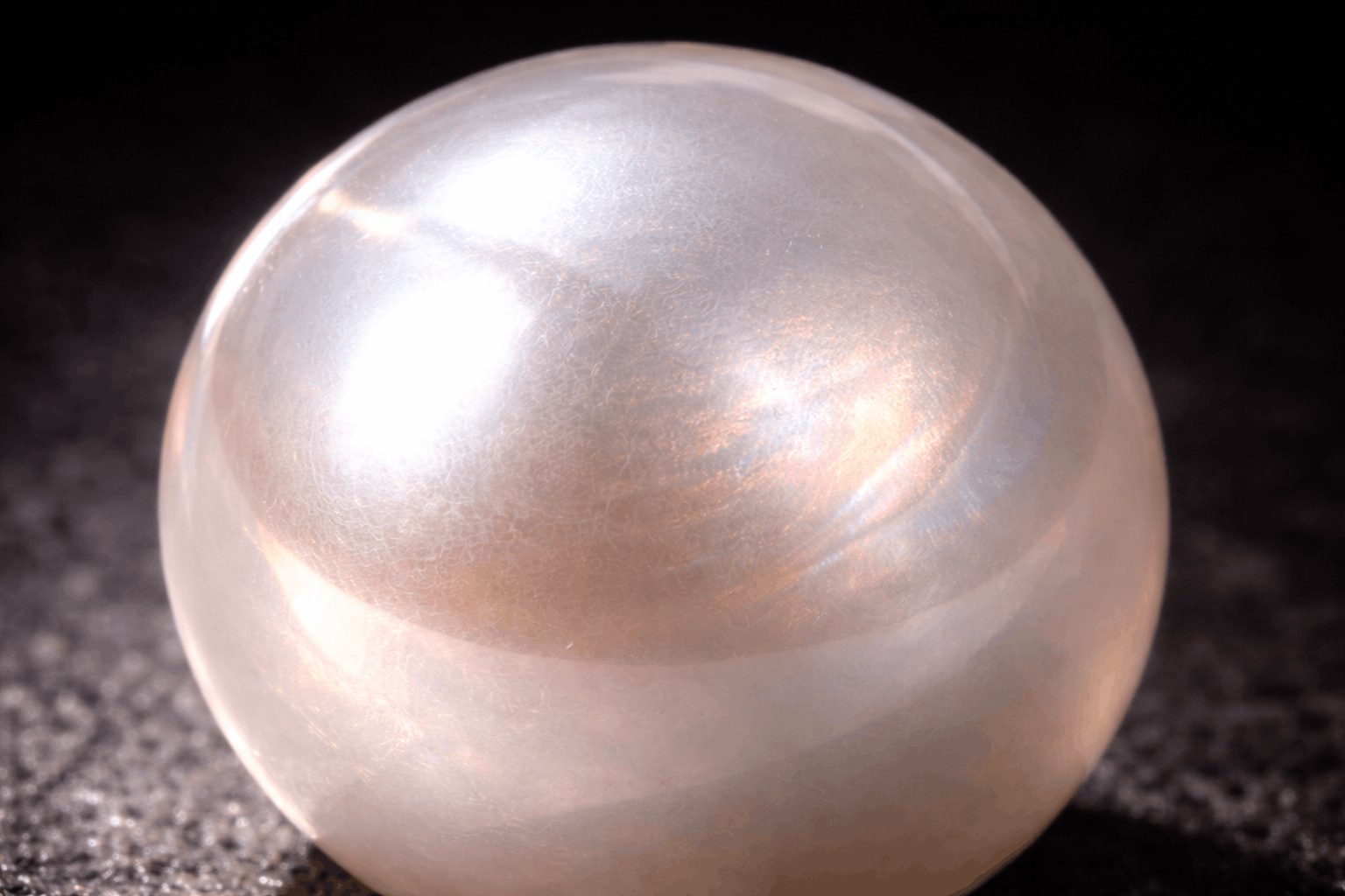 02. Der Bildungsprozess Schritt für Schritt