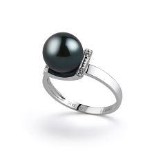 8-9mm AA-Qualität Japanische Akoya Perlenringe in Francine Schwarz