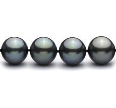 12-12.9mm AAA-Qualität Tahitisch Perlenhalskette in 18 Zoll Schwarz