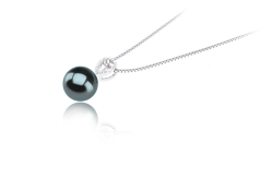 9-10mm AAA-Qualität Tahitisch Perlenanhänger in Karen Schwarz