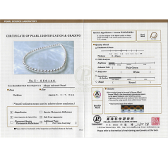 9-9.5mm Hanadama - AAAA-Qualität Japanische Akoya Perlenhalskette in Hanadama 23-Zoll Weiß