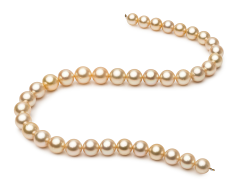 9.6-12.6mm AA+-Qualität Südsee Perlenhalskette in 18-Zoll Gold
