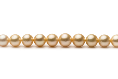 9.6-12.6mm AA+-Qualität Südsee Perlenhalskette in 18-Zoll Gold
