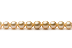 9.3-13.2mm AA+-Qualität Südsee Perlenhalskette in 18-Zoll Gold