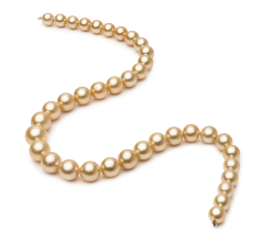 9.2-12.8mm AA-Qualität Südsee Perlenhalskette in 18-Zoll Gold