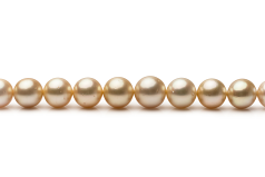9.2-12.8mm AA-Qualität Südsee Perlenhalskette in 18-Zoll Gold